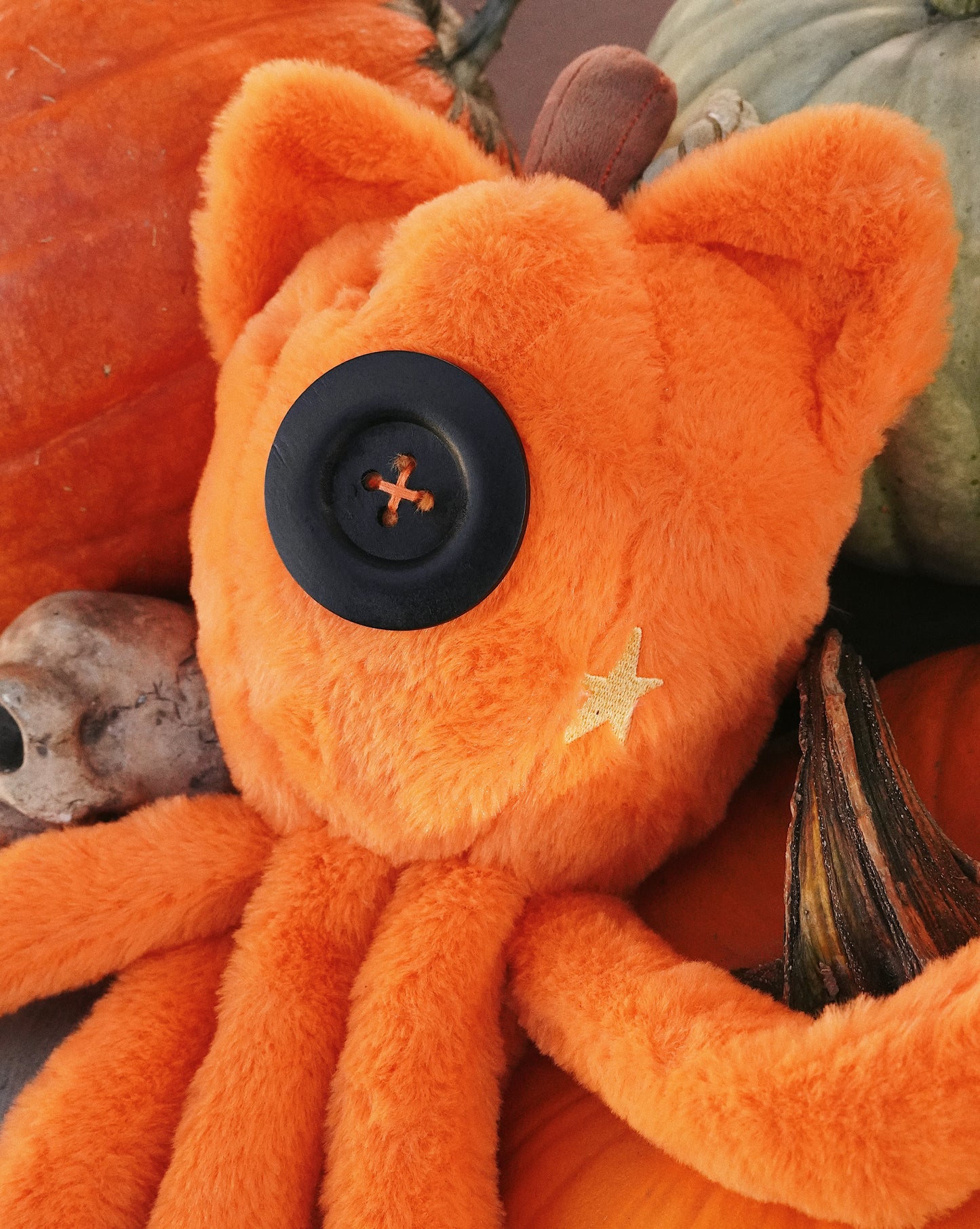 Pumpkin Squid (preorder)