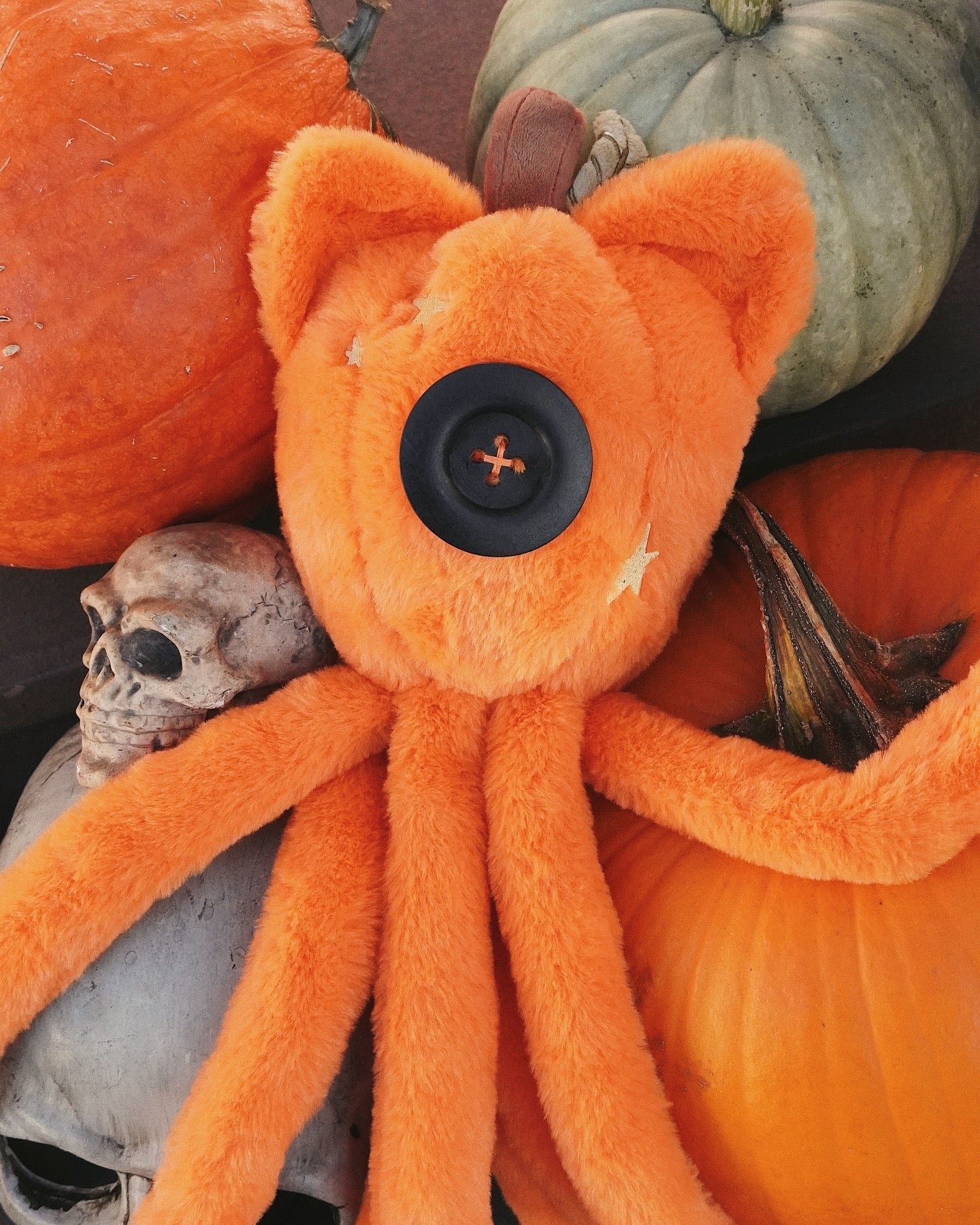 Pumpkin Squid (preorder)